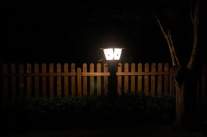 Free Garden At Night photo and picture