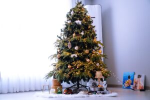 Free Tree Christmas photo and picture